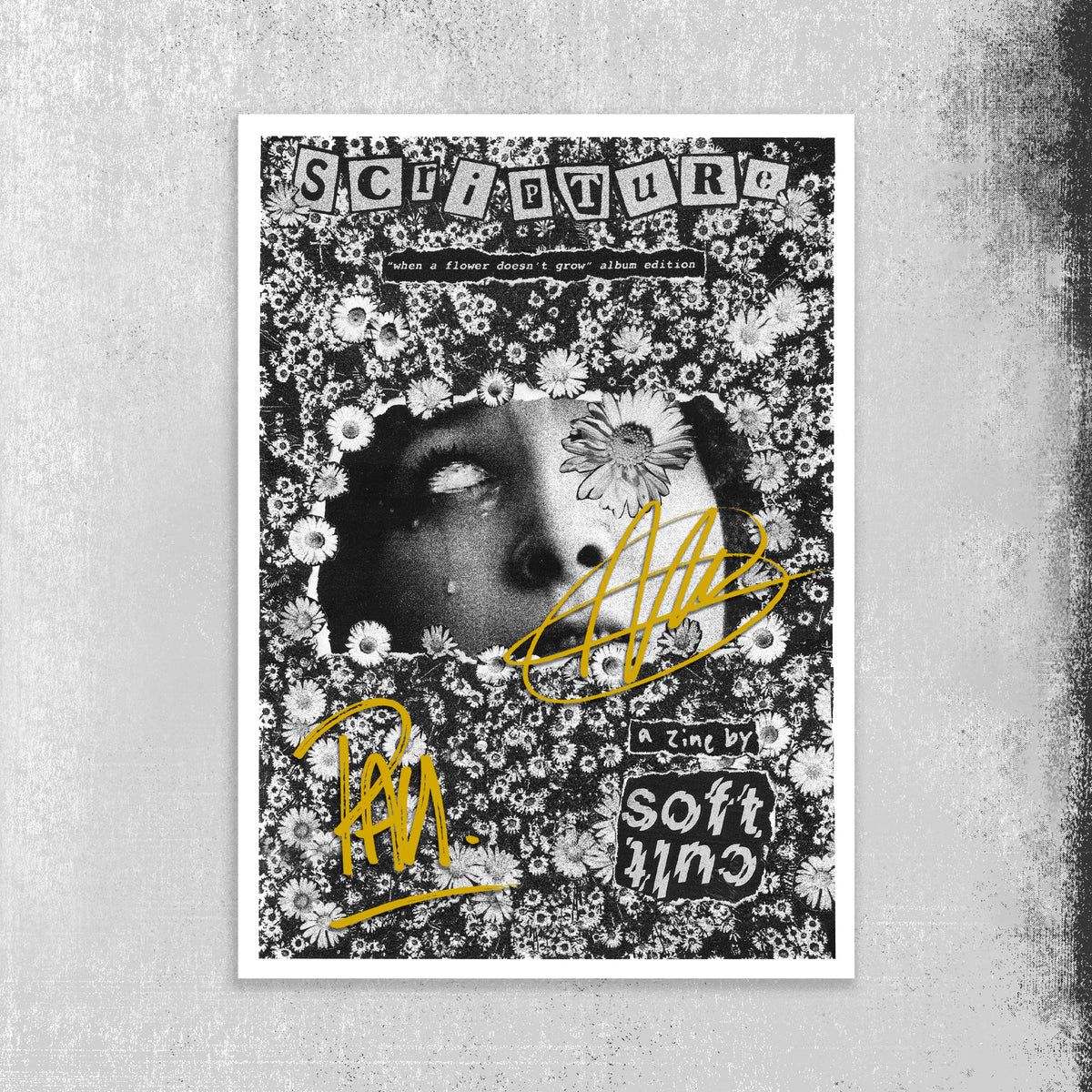 Softcult - Album Edition Zine Signed